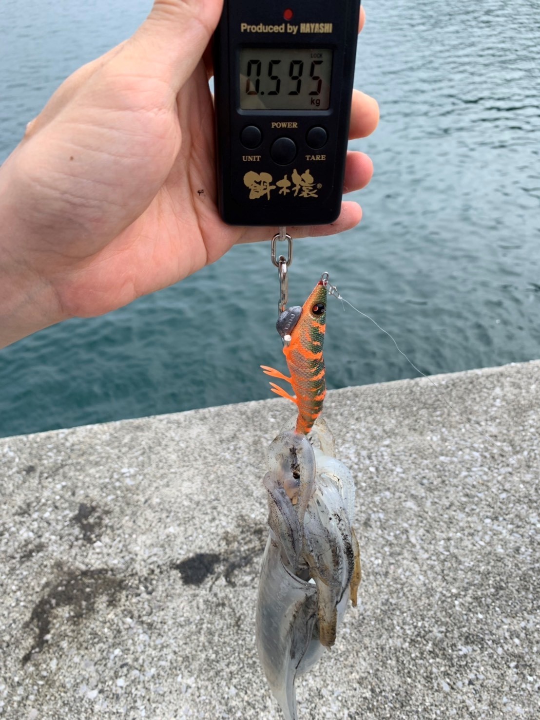 デイエギング In 大分県佐伯市 蒲江