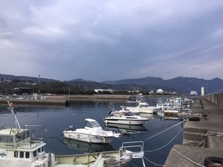 20200313亀川漁港1.jpg
